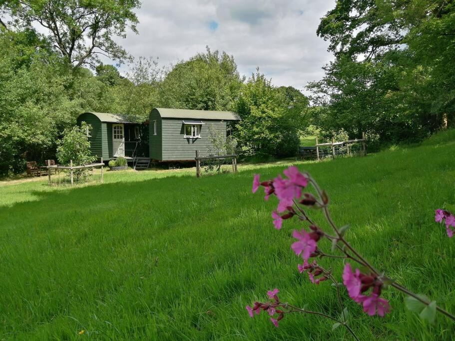 Penn Bergeyn Shepherd'S Huts Exeter Extérieur photo