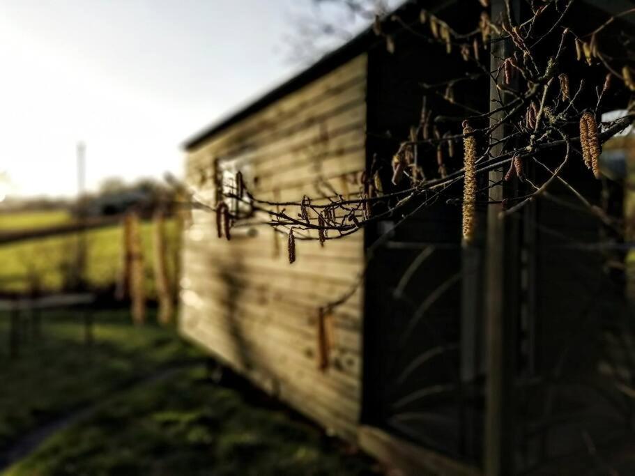Penn Bergeyn Shepherd'S Huts Exeter Extérieur photo