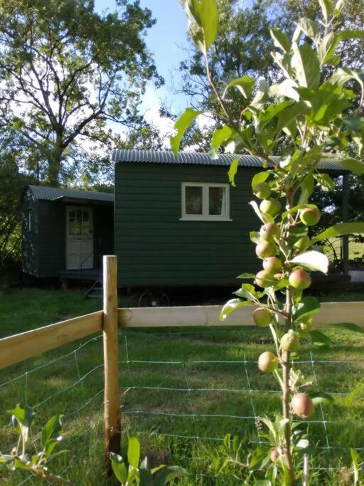 Penn Bergeyn Shepherd'S Huts Exeter Extérieur photo